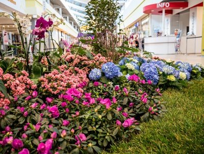 Der Österliche FLORAPARK