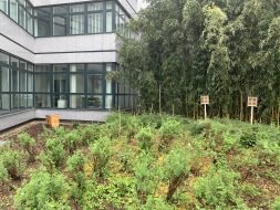 Ein Bienenstock für mehr Artenvielfalt